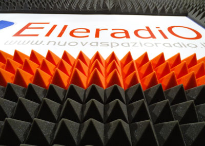 eleradio 88.100 fm